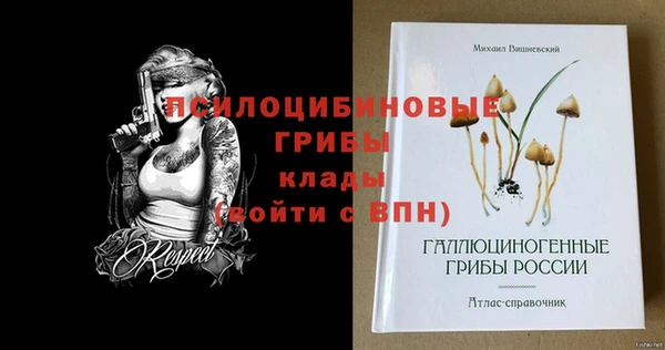 ПСИЛОЦИБИНОВЫЕ ГРИБЫ Белокуриха