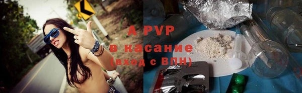 ПСИЛОЦИБИНОВЫЕ ГРИБЫ Беломорск