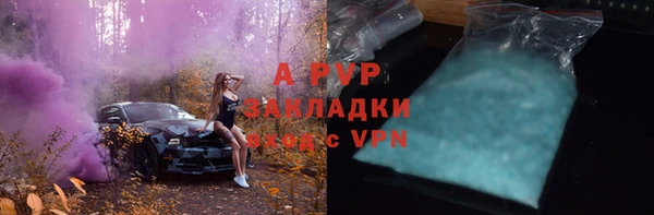 ПСИЛОЦИБИНОВЫЕ ГРИБЫ Белокуриха