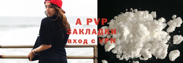 ПСИЛОЦИБИНОВЫЕ ГРИБЫ Белокуриха