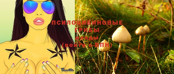 ПСИЛОЦИБИНОВЫЕ ГРИБЫ Белокуриха