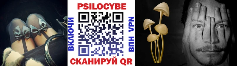 Галлюциногенные грибы прущие грибы  хочу наркоту  Высоковск 